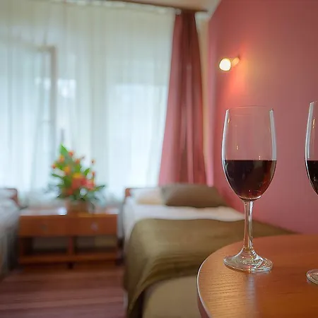 Hotel Delta Krakov