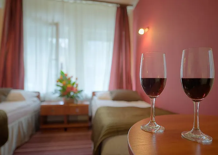 ホテル デルタ クラクフ